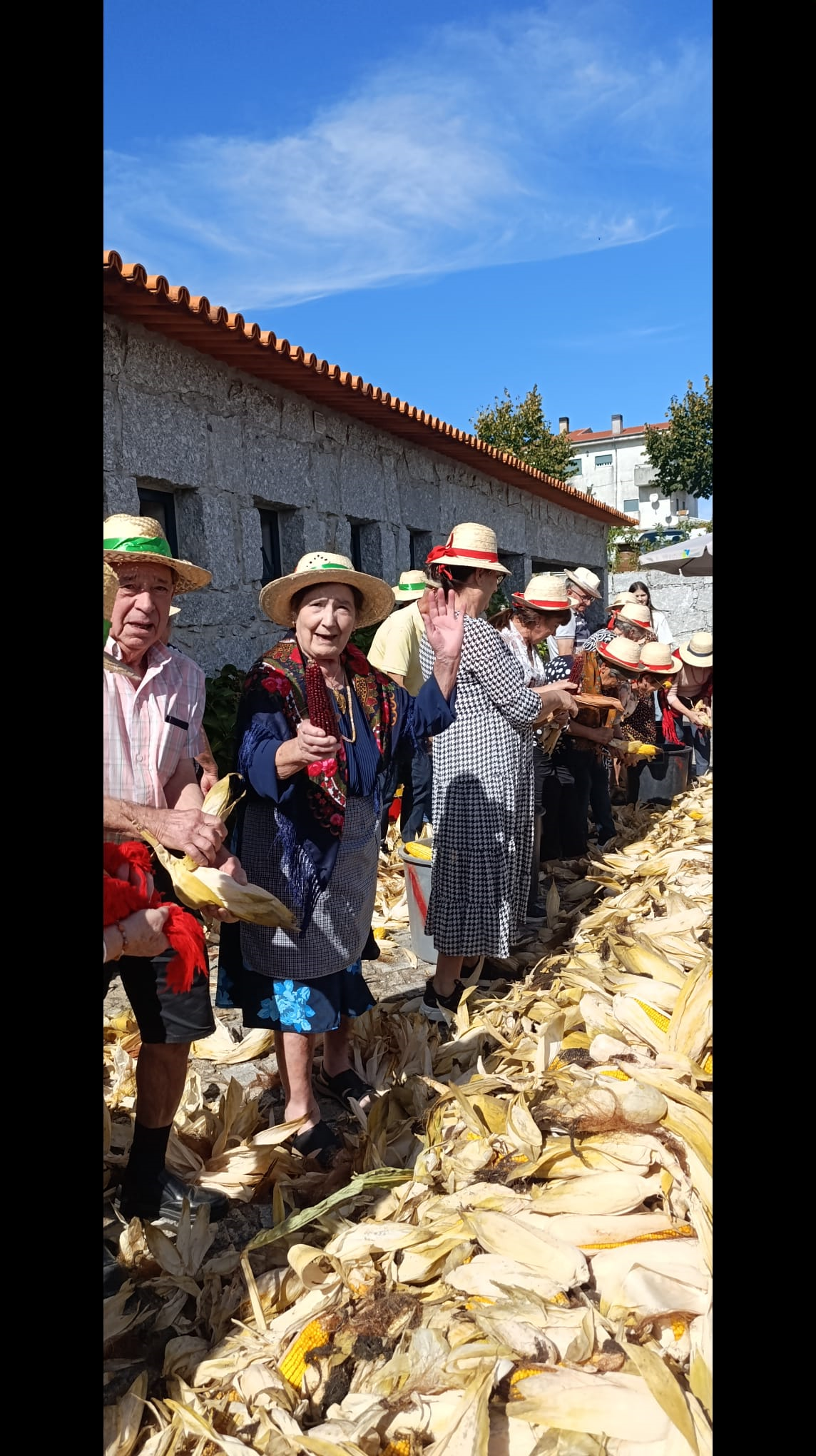 DIA INTERNACIONAL DO IDOSO
